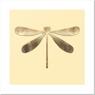 Gold Dragonfly Posters and Art